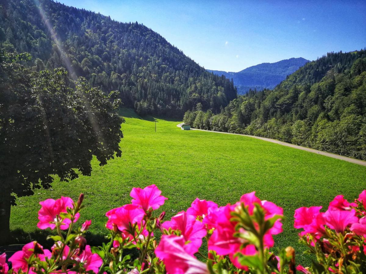 Gwercherwirt Brandenberg Exteriör bild