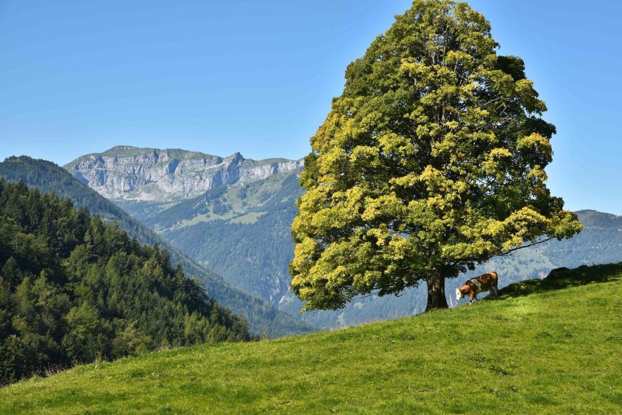 Gwercherwirt Brandenberg Exteriör bild
